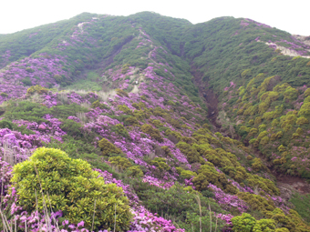 山頂