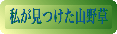 野草
