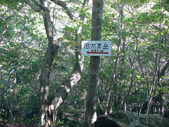 分岐点
