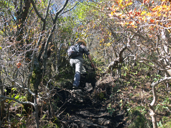 登山道