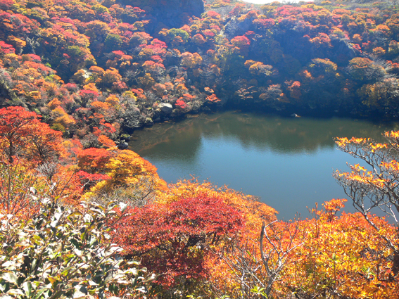紅葉