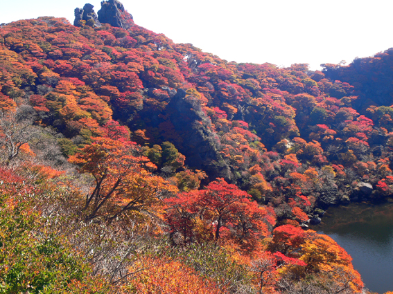 紅葉