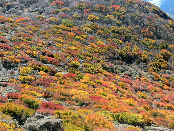山頂