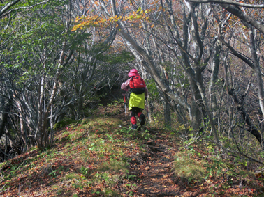 登山道