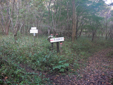 登山道