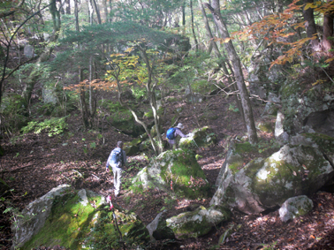登山道