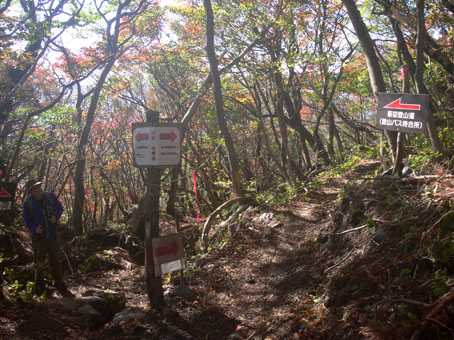 紅葉