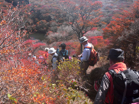 紅葉