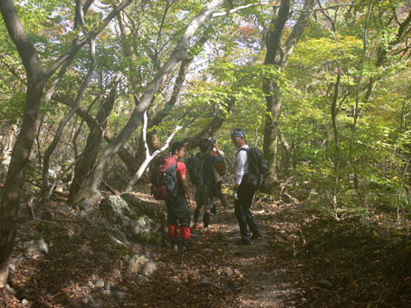 登山道