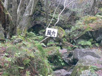 標識