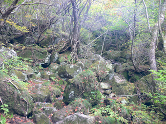 登山道