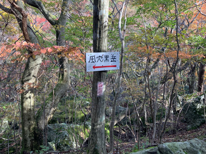 登山道