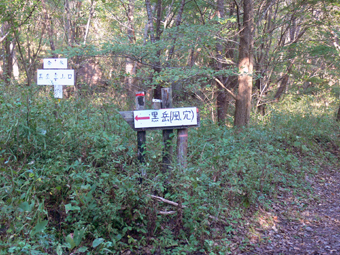 登山口