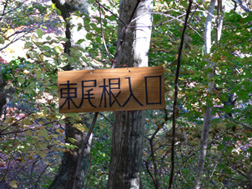 分岐点