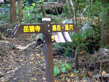 分岐点