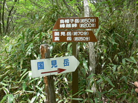 分岐点