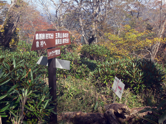 分岐点