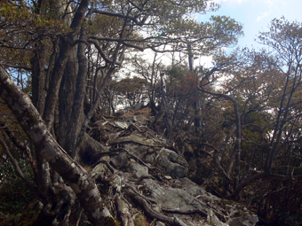 登山道