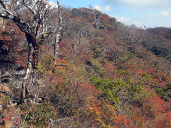 山頂の紅葉
