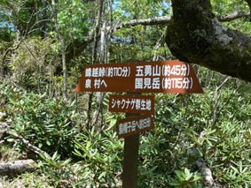 標識