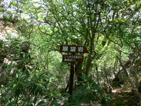 登山道