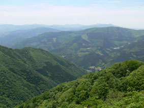 山並