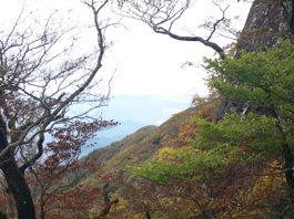 登山道