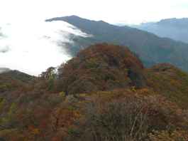 紅葉