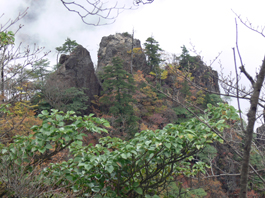 登山道