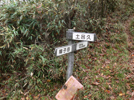 分岐点