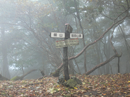 登山口