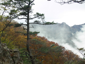 登山道