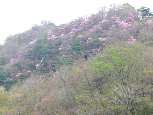 二神山