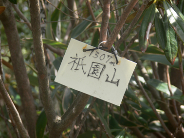 標識