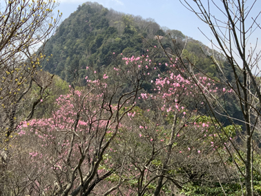 二上山