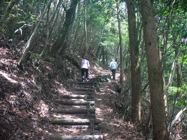 登山道