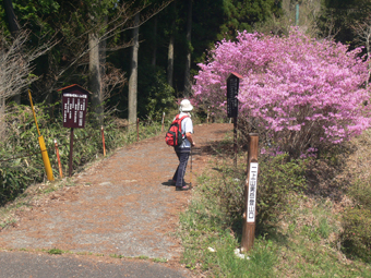 登山口