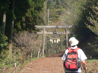 登山口