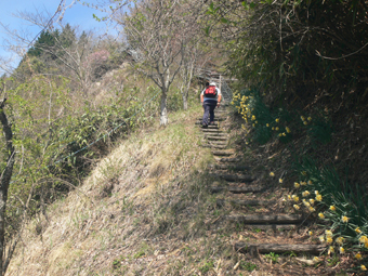 登山道