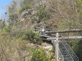 登山道
