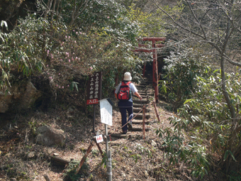登山口