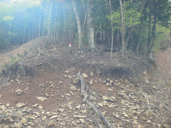 登山道