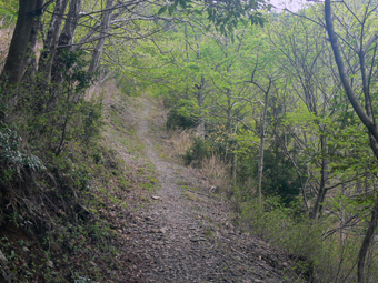 登山道