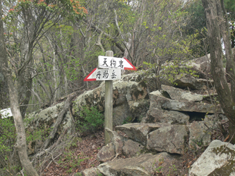 分岐点