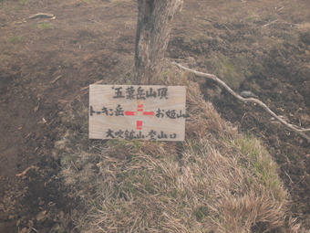 標識