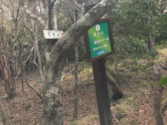 分岐点