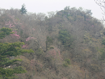 とっきん岳