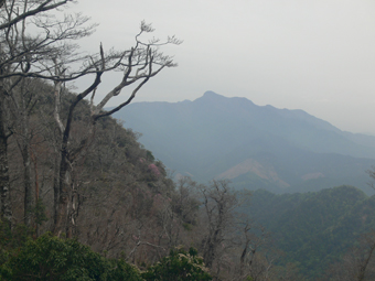 傾山