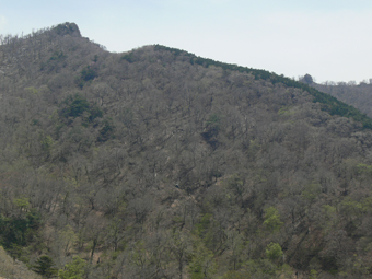 五葉岳