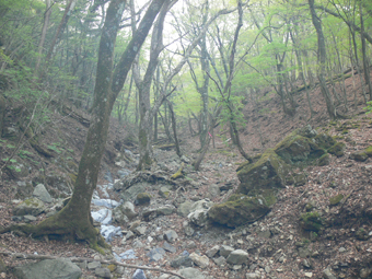 登山道